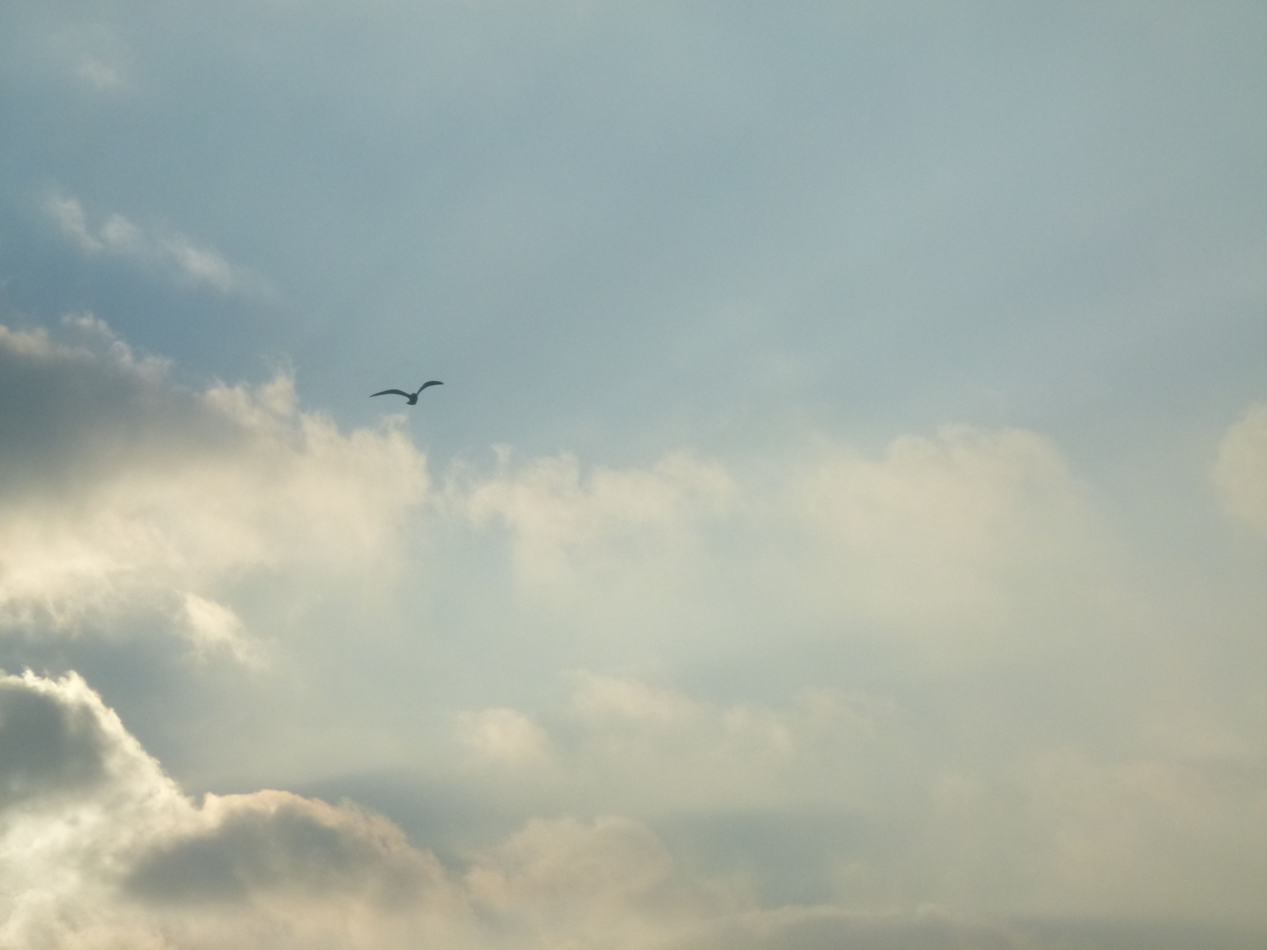 Brian H Feddersen slider